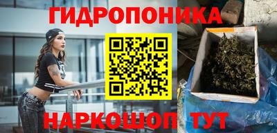 спиды Аргун