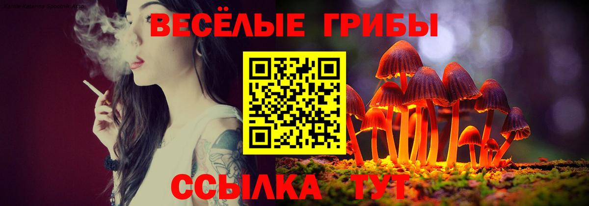 Галлюциногенные грибы GOLDEN TEACHER Артёмовский